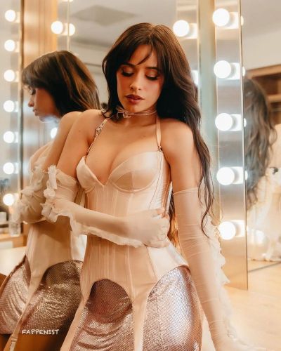 Camila Cabello Big Tits Corset