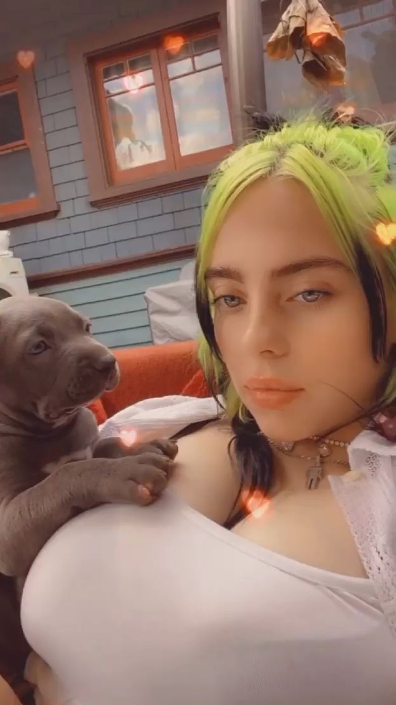 Billie eilish hot boobs