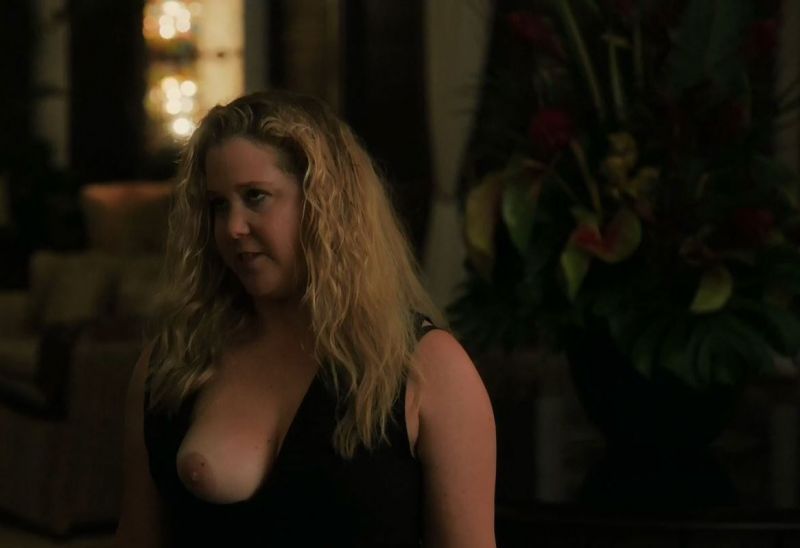 Amy Schumers Porn Scene Gif - Amy Schumer Nude Photo and Video Collection - Fappenist