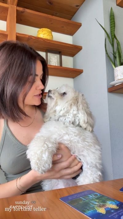 Lucy Hale Big Tits Nipples