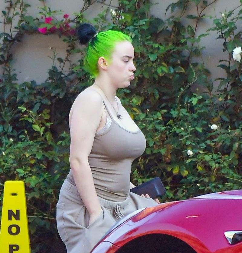 Billie eilish tits slip