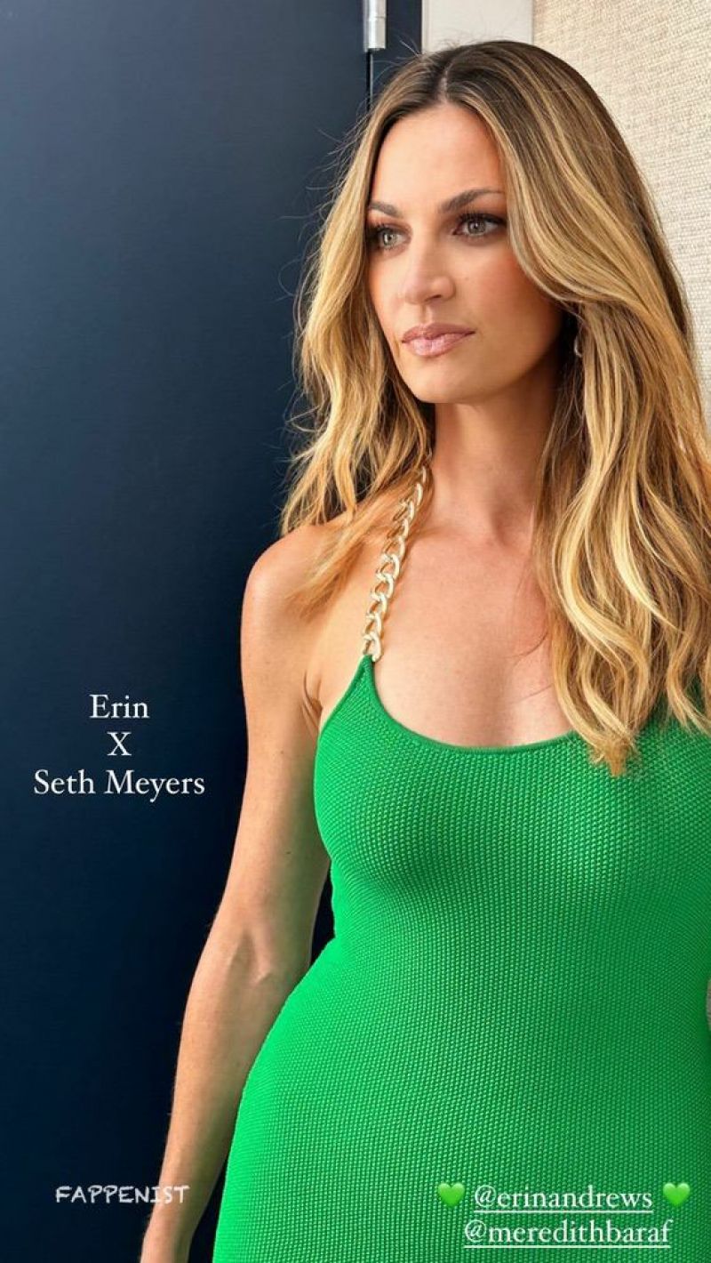 Erin andrews nipples